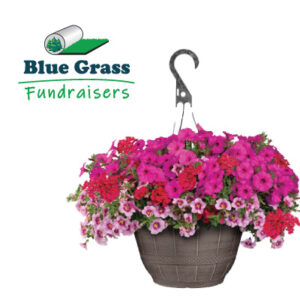 Premium 11" Hanging Basket