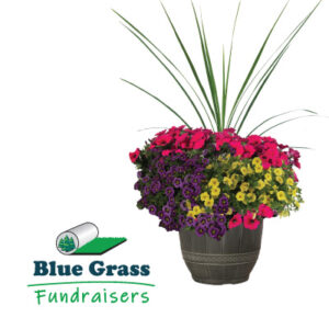 Premium 12"  Patio Planter